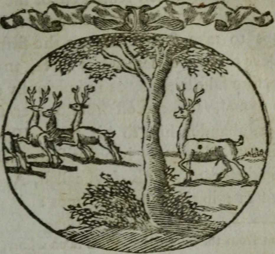 An illustration from Choice emblems, natural, historical, fabulous, moral, and divine : for the improvement and pastime of youth : displaying the beauties and morals of the ancient fabulists, the whole calculated to convey the golden lessons of instruction under a new and more delightful dress : written for the amusement of a young nobleman, 1793, leaf 86