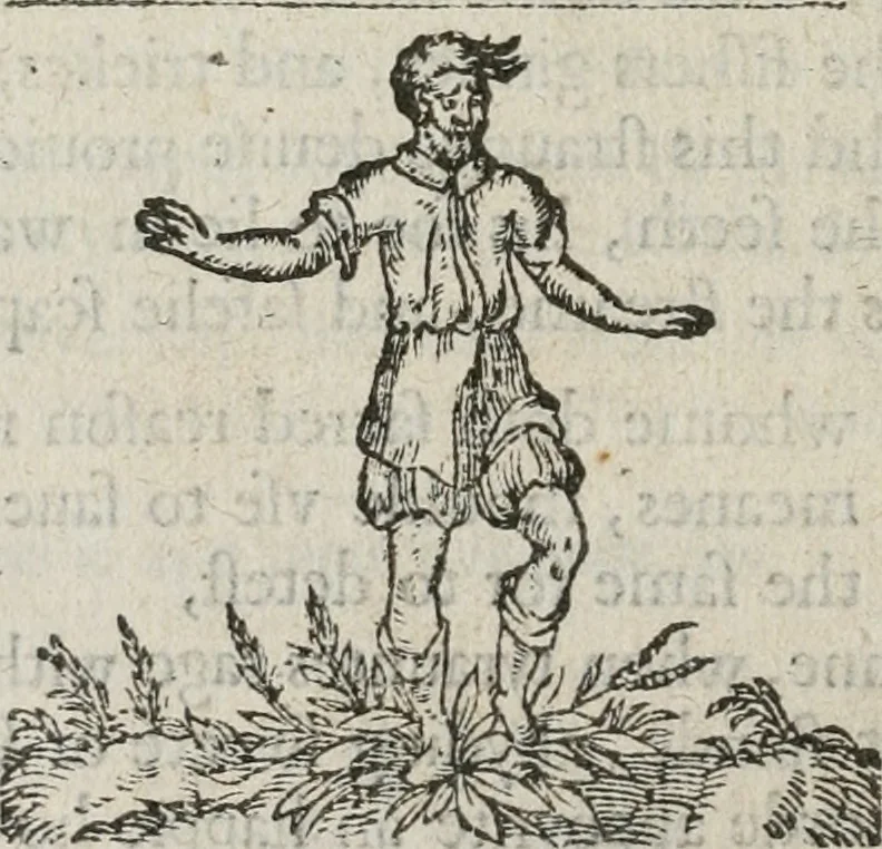 An illustration from A Choice of Emblemes, and other devises : For the moste parte gathered out of sundrie writers, Englished and Moralized. And divers newly devised, 1586, leaf 107