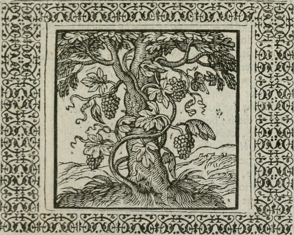 An illustration from A Choice of Emblemes, and other devises : For the moste parte gathered out of sundrie writers, Englished and Moralized. And divers newly devised, 1586, leaf 142