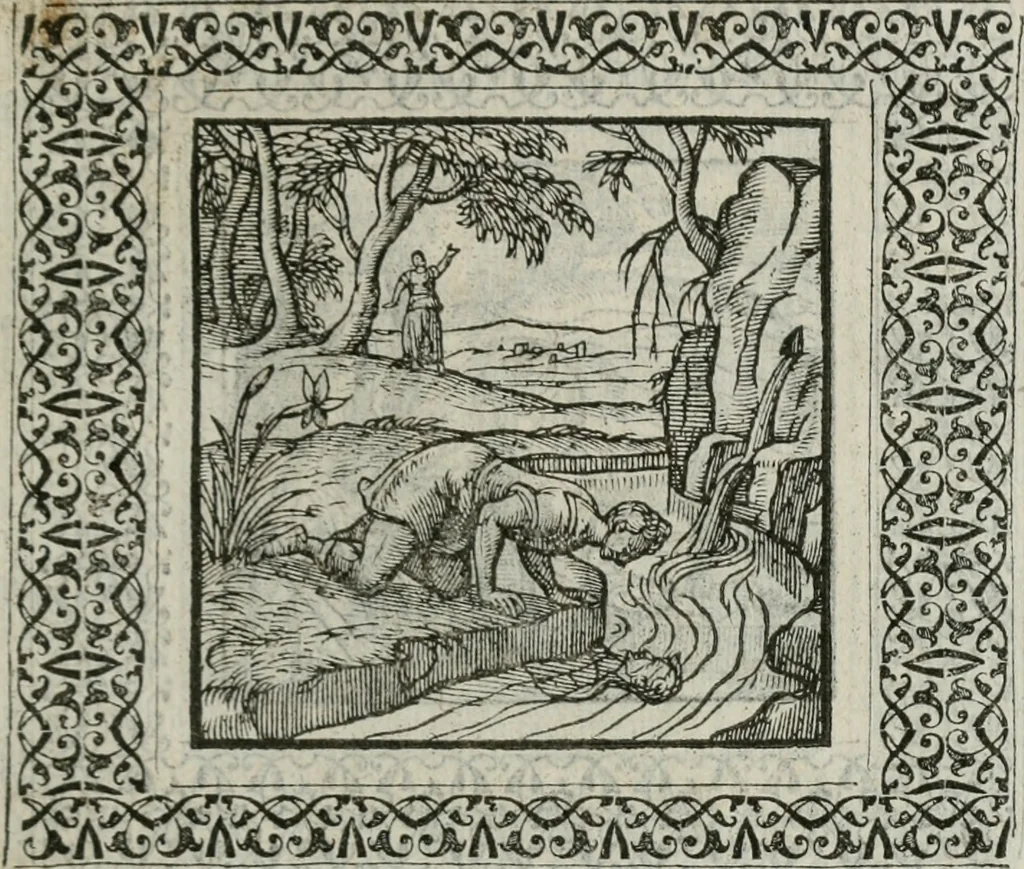 An illustration from A Choice of Emblemes, and other devises : For the moste parte gathered out of sundrie writers, Englished and Moralized. And divers newly devised, 1586, leaf 158