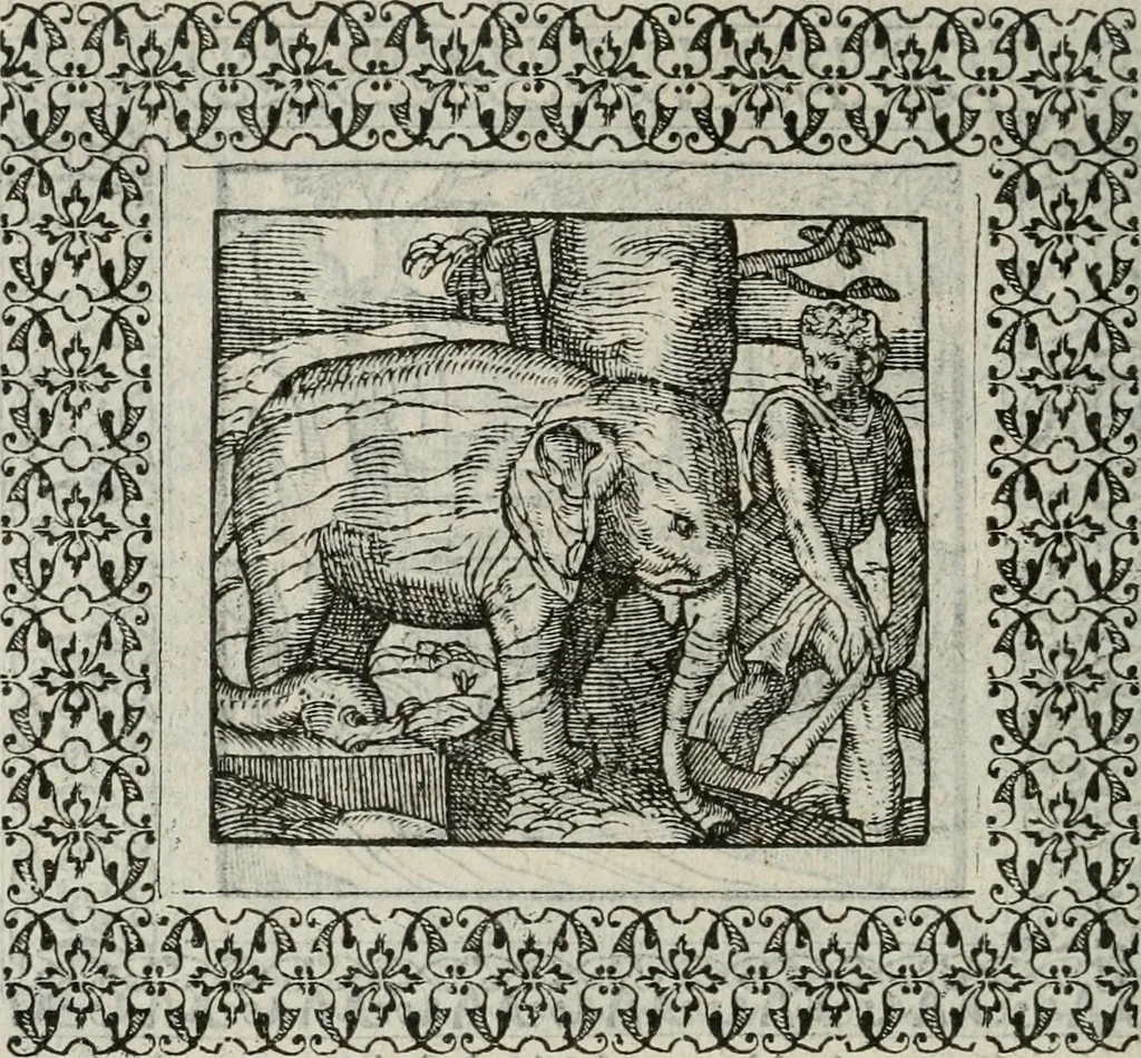 An illustration from A Choice of Emblemes, and other devises : For the moste parte gathered out of sundrie writers, Englished and Moralized. And divers newly devised, 1586, leaf 159