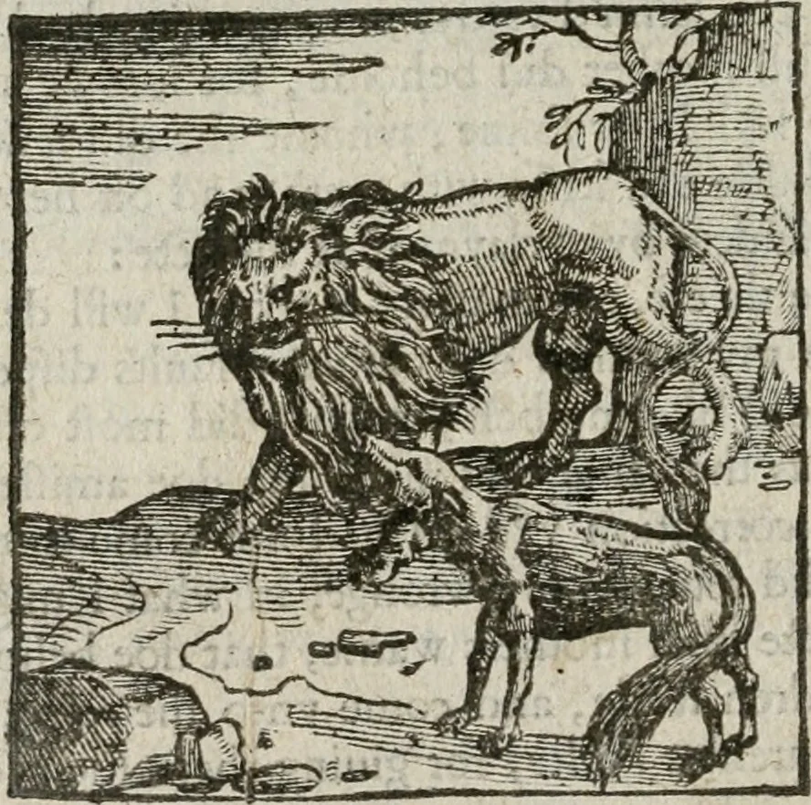 An illustration from A Choice of Emblemes, and other devises : For the moste parte gathered out of sundrie writers, Englished and Moralized. And divers newly devised, 1586, leaf 165