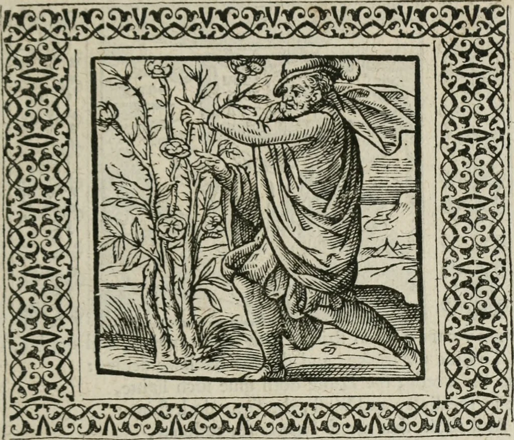 An illustration from A Choice of Emblemes, and other devises : For the moste parte gathered out of sundrie writers, Englished and Moralized. And divers newly devised, 1586, leaf 174
