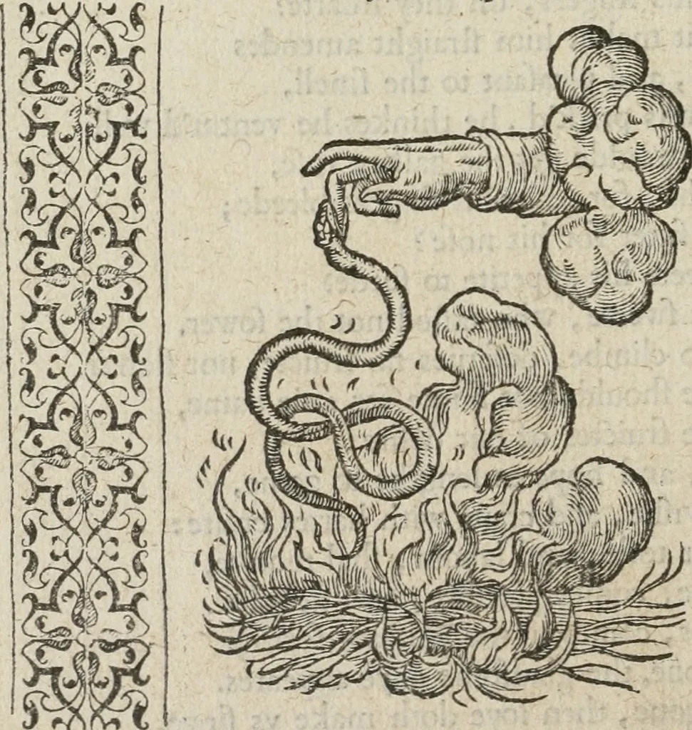 An illustration from A Choice of Emblemes, and other devises : For the moste parte gathered out of sundrie writers, Englished and Moralized. And divers newly devised, 1586, leaf 175