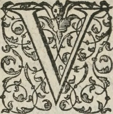 An illustration from A Choice of Emblemes, and other devises : For the moste parte gathered out of sundrie writers, Englished and Moralized. And divers newly devised, 1586, leaf 19
