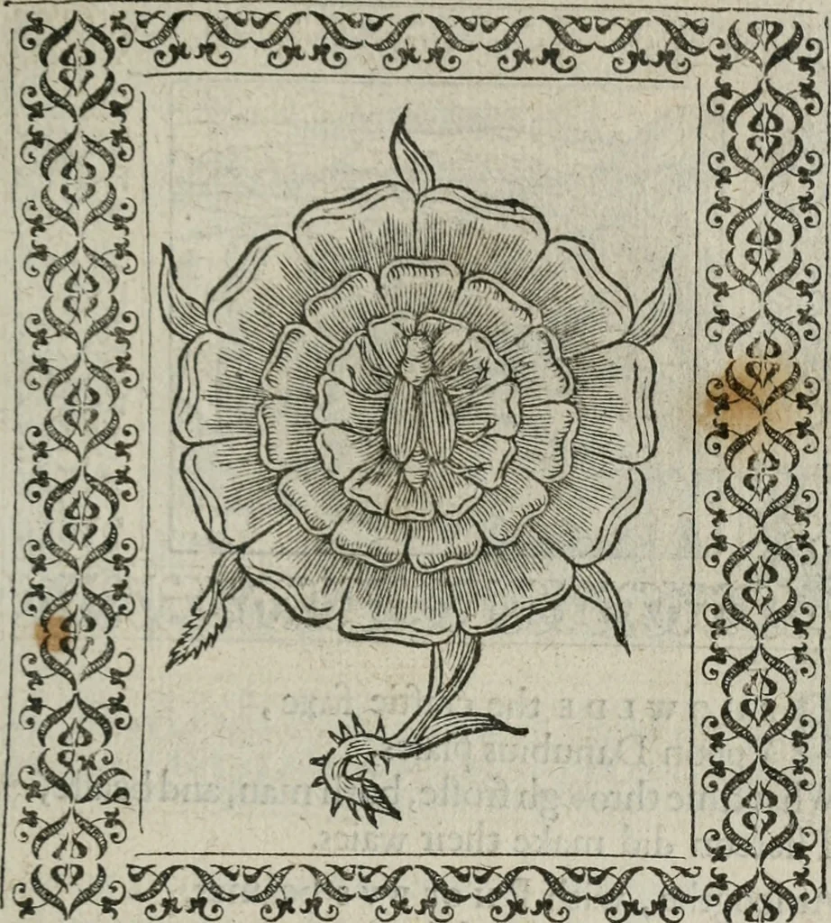 An illustration from A Choice of Emblemes, and other devises : For the moste parte gathered out of sundrie writers, Englished and Moralized. And divers newly devised, 1586, leaf 36