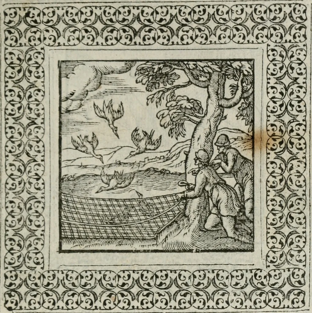 An illustration from A Choice of Emblemes, and other devises : For the moste parte gathered out of sundrie writers, Englished and Moralized. And divers newly devised, 1586, leaf 40