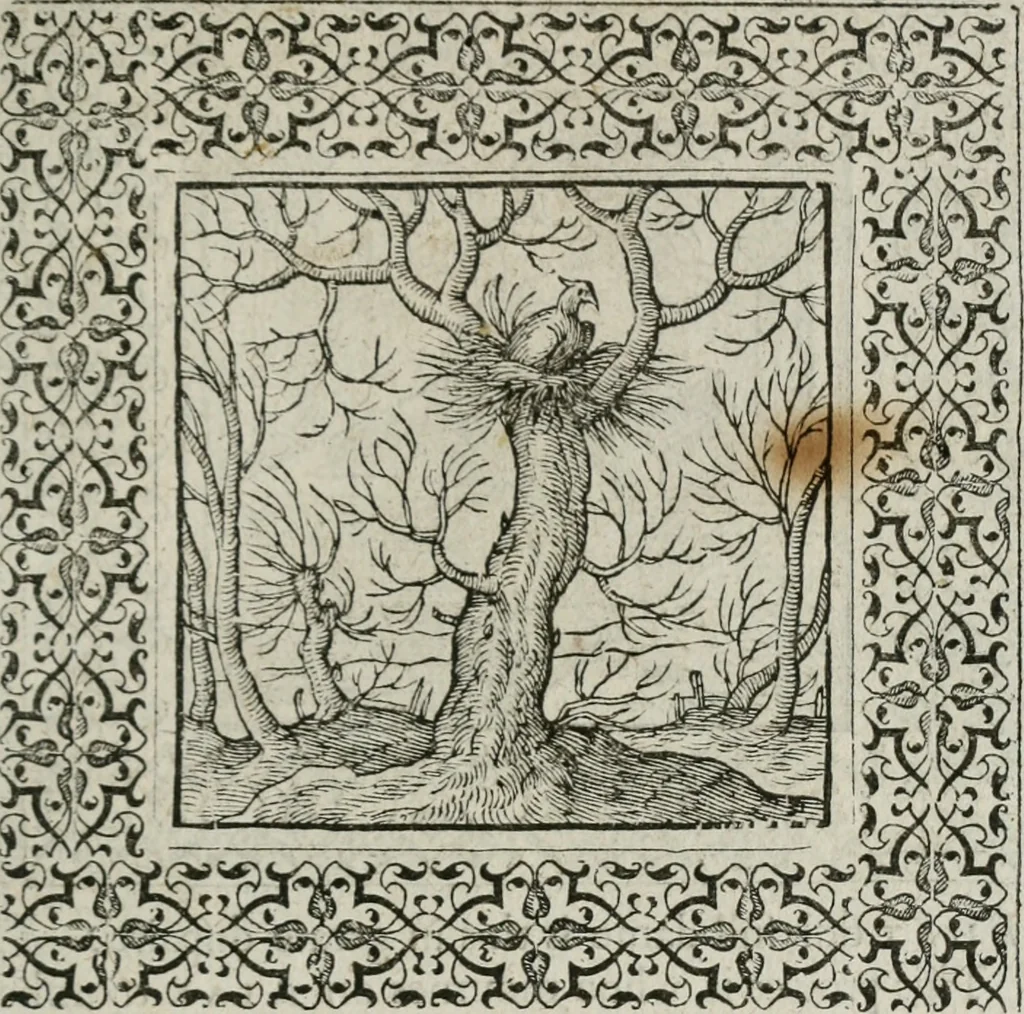 An illustration from A Choice of Emblemes, and other devises : For the moste parte gathered out of sundrie writers, Englished and Moralized. And divers newly devised, 1586, leaf 42