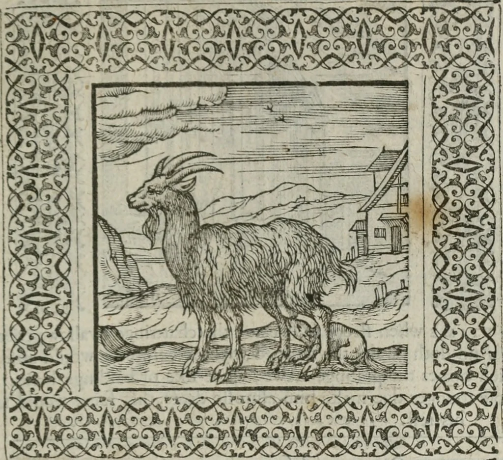 An illustration from A Choice of Emblemes, and other devises : For the moste parte gathered out of sundrie writers, Englished and Moralized. And divers newly devised, 1586, leaf 58