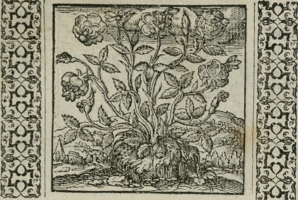 An illustration from A Choice of Emblemes, and other devises : For the moste parte gathered out of sundrie writers, Englished and Moralized. And divers newly devised, 1586, leaf 60