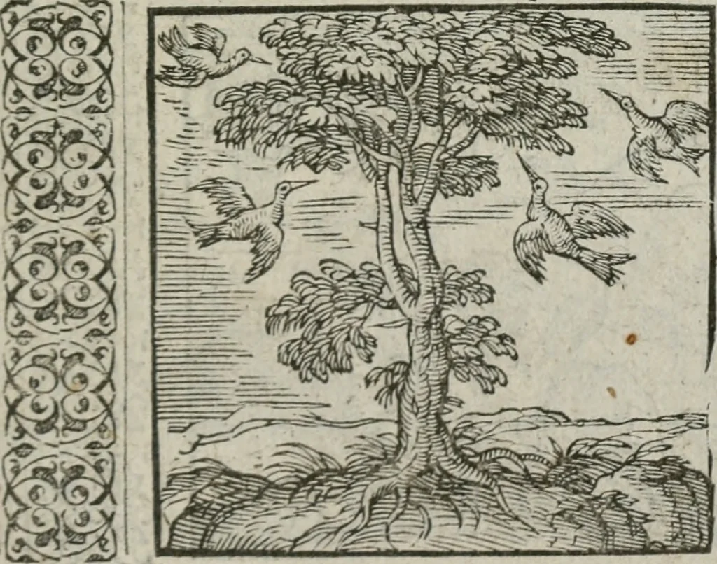 An illustration from A Choice of Emblemes, and other devises : For the moste parte gathered out of sundrie writers, Englished and Moralized. And divers newly devised, 1586, leaf 62