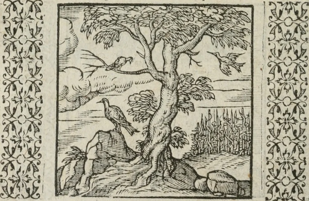 An illustration from A Choice of Emblemes, and other devises : For the moste parte gathered out of sundrie writers, Englished and Moralized. And divers newly devised, 1586, leaf 63