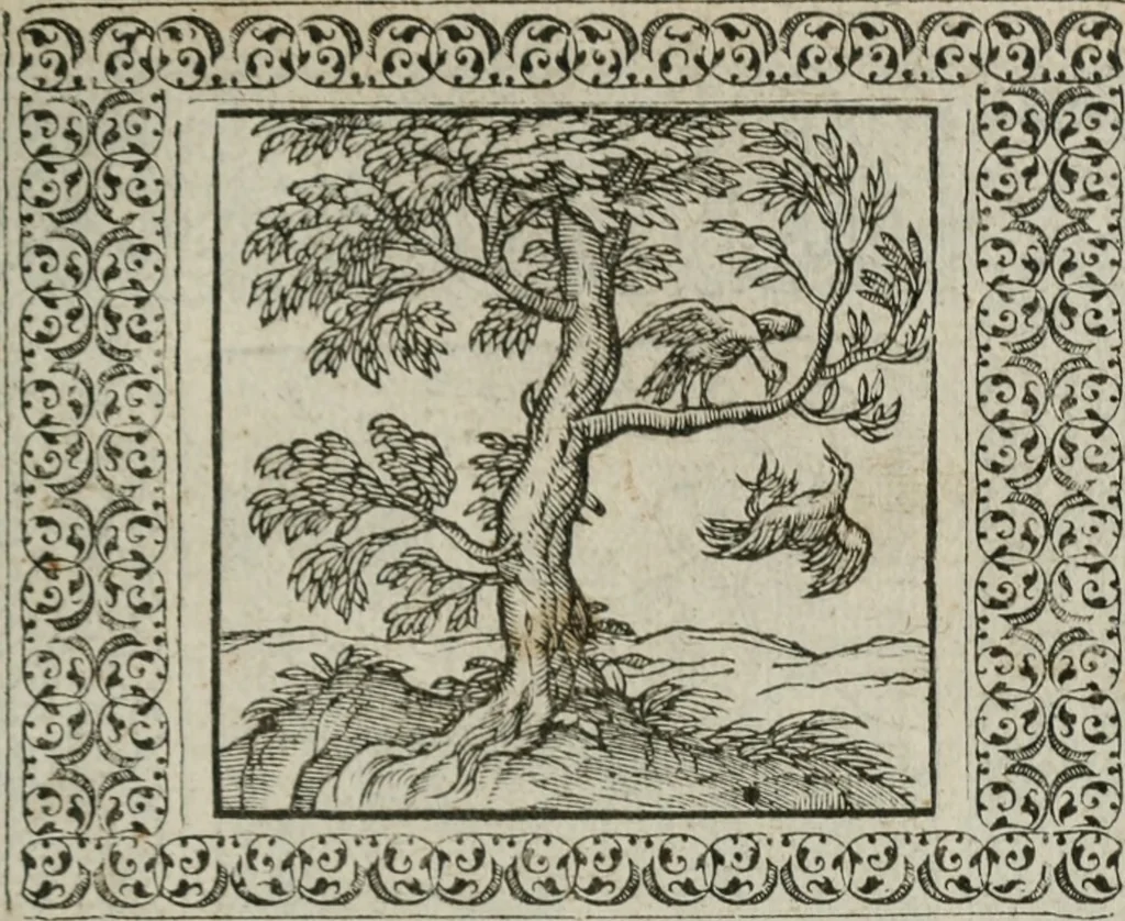 An illustration from A Choice of Emblemes, and other devises : For the moste parte gathered out of sundrie writers, Englished and Moralized. And divers newly devised, 1586, leaf 64