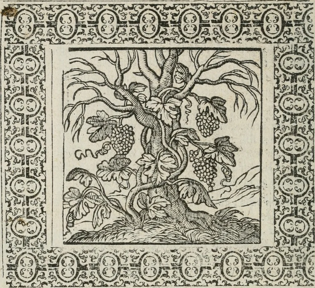 An illustration from A Choice of Emblemes, and other devises : For the moste parte gathered out of sundrie writers, Englished and Moralized. And divers newly devised, 1586, leaf 71
