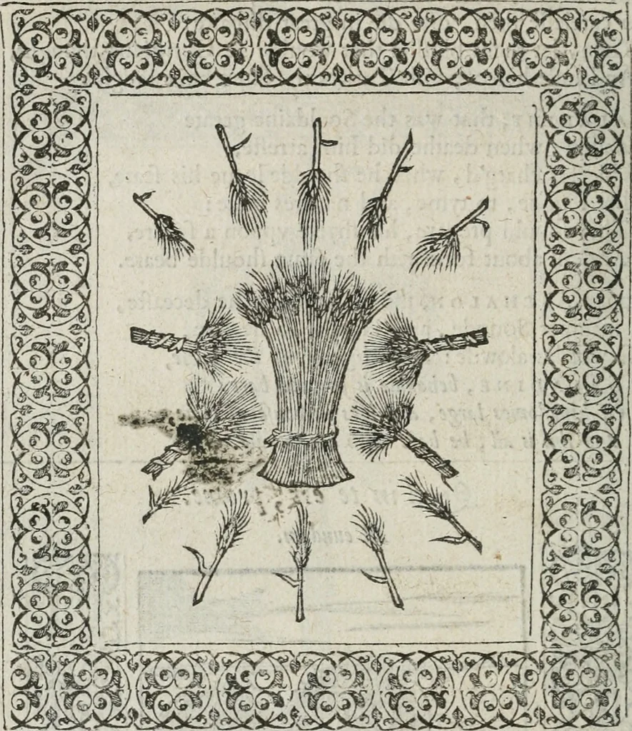An illustration from A Choice of Emblemes, and other devises : For the moste parte gathered out of sundrie writers, Englished and Moralized. And divers newly devised, 1586, leaf 97