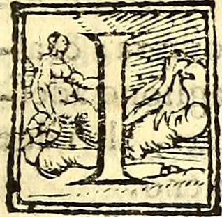 An illustration from Chorograffia : et breve historia universale dell'Isola de Cipro principiando al tempo di Noè per in sino al 1572, 1573, leaf 48
