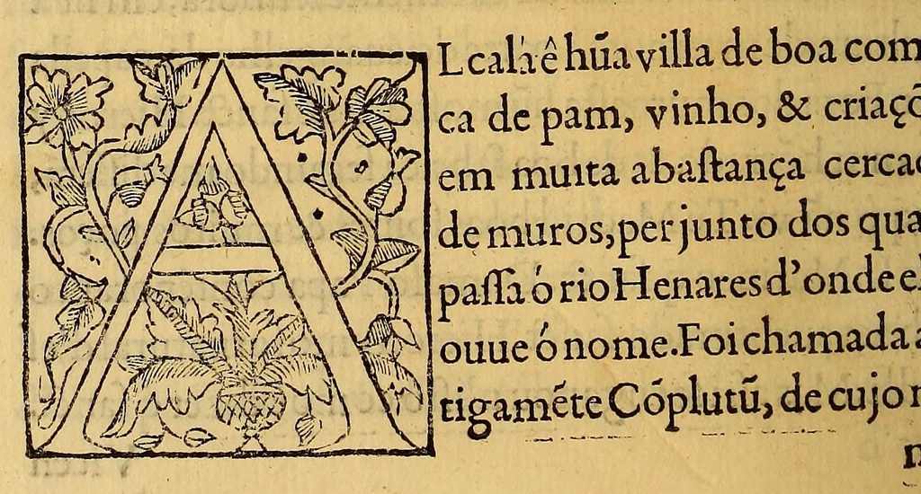An illustration from Chorographia de alguns lugares que stam em hum caminho, que fez Gaspar Barreiros ó anno de M.D.xxxxvj. começa[n]do na cidade de Badajoz em Castella, te á de Milam em Italia, co[m] algu[m]as outras obras, cujo catalogo vai scripto com os nomes dos dictos lugares, na folha seguinte., 1561, leaf 140
