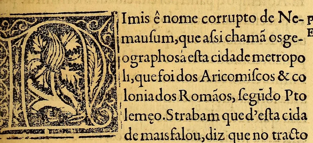 An illustration from Chorographia de alguns lugares que stam em hum caminho, que fez Gaspar Barreiros ó anno de M.D.xxxxvj. começa[n]do na cidade de Badajoz em Castella, te á de Milam em Italia, co[m] algu[m]as outras obras, cujo catalogo vai scripto com os nomes dos dictos lugares, na folha seguinte., 1561, leaf 369