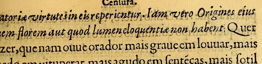 An illustration from Chorographia de alguns lugares que stam em hum caminho, que fez Gaspar Barreiros ó anno de M.D.xxxxvj. começa[n]do na cidade de Badajoz em Castella, te á de Milam em Italia, co[m] algu[m]as outras obras, cujo catalogo vai scripto com os nomes dos dictos lugares, na folha seguinte., 1561, leaf 561