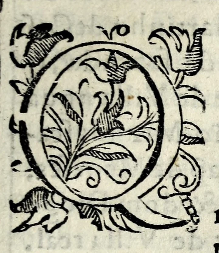 An illustration from Choronica que tratada vida e grandissimas virtudes, e bondades, magnanimo esforço, excellentes costumes, & manhas, & claros feytos do Christianissimo dom Ioão o segundo deste nome : & dos reys de Portugal o decimo tercio de gloriosa memoria : começado de seu nacimento, & toda sua vida até a hora de sua morte : com outras obras que adiante se seguem, 1607, leaf 267