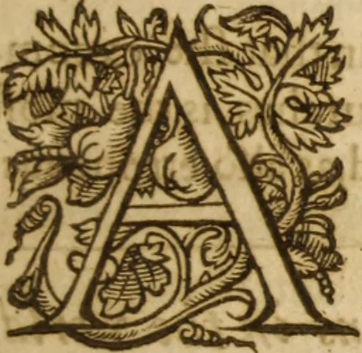 An illustration from Christianographie : or, The description of the multitude and sundry sorts of Christians in the world not subiect to the Pope .., 1636, leaf 24