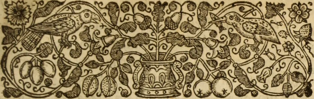An illustration from Christianographie : or, The description of the multitude and sundry sorts of Christians in the world not subiect to the Pope .., 1636, leaf 292