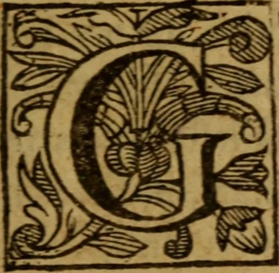 An illustration from Christian letters of Mr. Paul Bayne : replenished with diverse consolations, exhortations, and directions, tending to promote the honor of Godlinesse, 1637, leaf 16