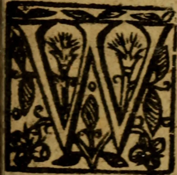 An illustration from Christian letters of Mr. Paul Bayne : replenished with diverse consolations, exhortations, and directions, tending to promote the honor of Godlinesse, 1637, leaf 334