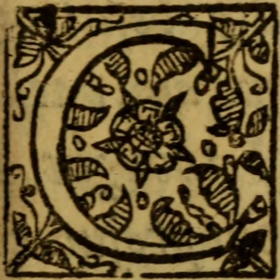 An illustration from Christian letters of Mr. Paul Bayne : replenished with diverse consolations, exhortations, and directions, tending to promote the honor of Godlinesse, 1637, leaf 440