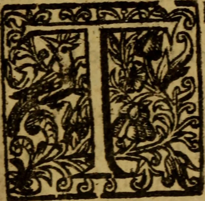An illustration from Christian letters of Mr. Paul Bayne : replenished with diverse consolations, exhortations, and directions, tending to promote the honor of Godlinesse, 1637, leaf 444