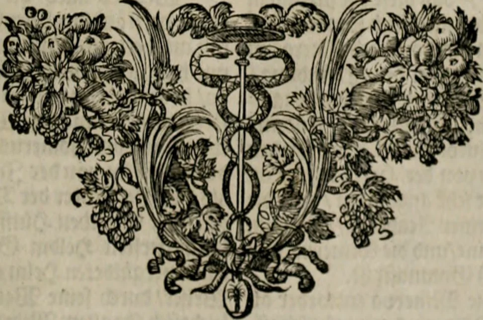 An illustration from Iconologia deorum, oder Abbildung der Götter : welche von den alten verehret Worden ; ais dem Welt-berümtesten Antichen der Griechischen und Römischen Statuen, auch in Marmel, Porfido-Stein, Metall, Agat, Onyx, Sardonich und andren Edelsteinen befindlichen Bildereyen, sorgfältig abgesehen, samt dero eigentlicher Beschreibung und Erklärung der Heidnischen Tempel-Ceremonien, auch Vorbildung der thiere und anderer Sachen, die auf hieroglyphische und emblematische Art, nach Weise der Egyptischen Schrifften, schicklich können vorgebracht und auf einen gewissen Verstand gerichtet werden ; deme allem vorgefügt ist, des durchleuchtigen Palm-Ordens der Hochlöbl. fruchtbringenden Gesellschaft auf dem Parnass aufgestellter ehren-Tempel, 1680, leaf 200
