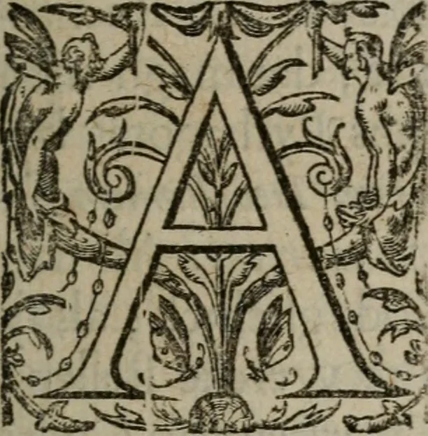 An illustration from Christeliicken waerseggher : de principale stucken van t'Christen geloof en Leuen int cort begrijpende : met een rolle der deugtsaemheyt daer op dienende : ende een schildt-wacht teghen de valsche waersegghers, tooueraers, etc., 1603, leaf 6