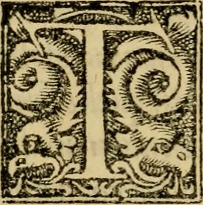 An illustration from Christianae religionis institutio : totam ferè pietatis summã & quicquid est in doctrina salutis cognitu necessarium complectens : omnibus pietatis studiosis lectu dignissimum opus, ac recens editum Praefatio ad Christianissimum regem franciae, qua hic ei liber pro confessione fidei offertur .., 1536, leaf 403