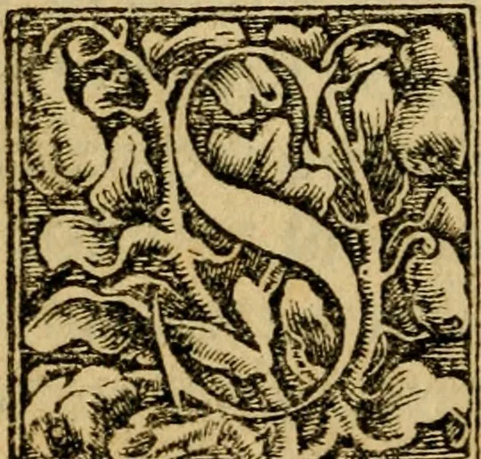 An illustration from Christianae religionis institutio : totam ferè pietatis summã & quicquid est in doctrina salutis cognitu necessarium complectens : omnibus pietatis studiosis lectu dignissimum opus, ac recens editum Praefatio ad Christianissimum regem franciae, qua hic ei liber pro confessione fidei offertur .., 1536, leaf 45