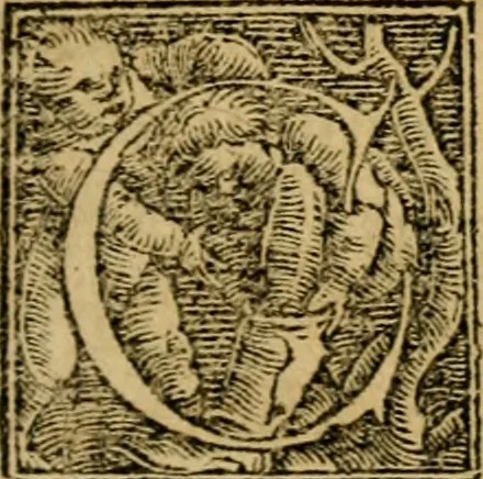 An illustration from Christianae religionis institutio : totam ferè pietatis summã & quicquid est in doctrina salutis cognitu necessarium complectens : omnibus pietatis studiosis lectu dignissimum opus, ac recens editum Praefatio ad Christianissimum regem franciae, qua hic ei liber pro confessione fidei offertur .., 1536, leaf 6