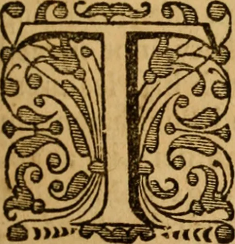 An illustration from The Christian faith asserted against Deists, Arians, and Socinians : in eight sermons preach'd at the Lady Moyer's lecture in the Cathedral Church of St. Paul, 1728, 1729, and since greatly enlarged : to which is prefix'd, a large preface concerning the light and the law of nature, and the expediency and necessity of revelation, 1732, leaf 110
