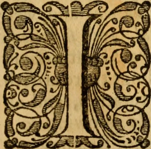 An illustration from The Christian faith asserted against Deists, Arians, and Socinians : in eight sermons preach'd at the Lady Moyer's lecture in the Cathedral Church of St. Paul, 1728, 1729, and since greatly enlarged : to which is prefix'd, a large preface concerning the light and the law of nature, and the expediency and necessity of revelation, 1732, leaf 452