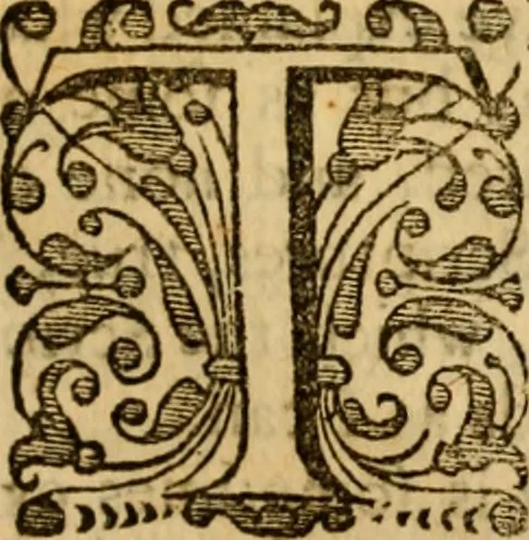 An illustration from The Christian faith asserted against Deists, Arians, and Socinians : in eight sermons preach'd at the Lady Moyer's lecture in the Cathedral Church of St. Paul, 1728, 1729, and since greatly enlarged : to which is prefix'd, a large preface concerning the light and the law of nature, and the expediency and necessity of revelation, 1732, leaf 496