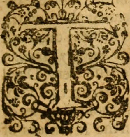 An illustration from Christian in compleat armour : or, A treatise of the saints war against the devil, wherein a discovery is made of that grand enemy of God and His peop, 1662, leaf 284