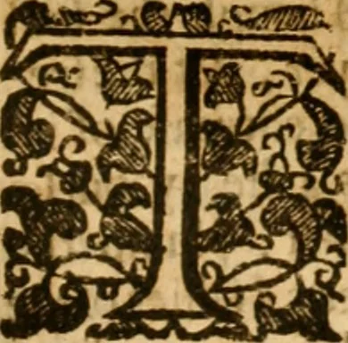 An illustration from Christian in compleat armour : or, A treatise of the saints war against the devil, wherein a discovery is made of that grand enemy of God and His peop, 1662, leaf 404