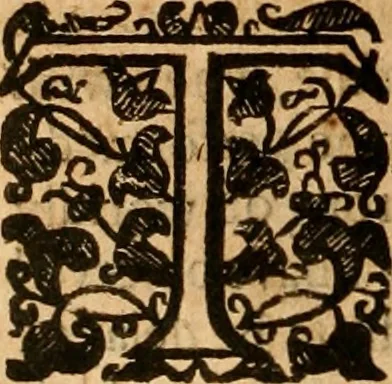 An illustration from Christian in compleat armour : or, A treatise of the saints war against the devil, wherein a discovery is made of that grand enemy of God and His peop, 1662, leaf 439