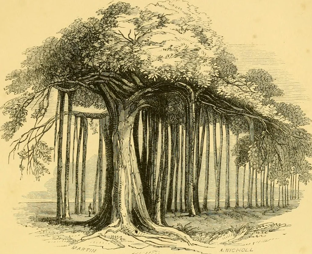 An illustration from Christianity in Ceylon : its introduction and progress under the Portuguese, the Dutch, the British, and American missions; with an historical sketch of the Brahmanical and Buddhist superstitions, 1850, leaf 102