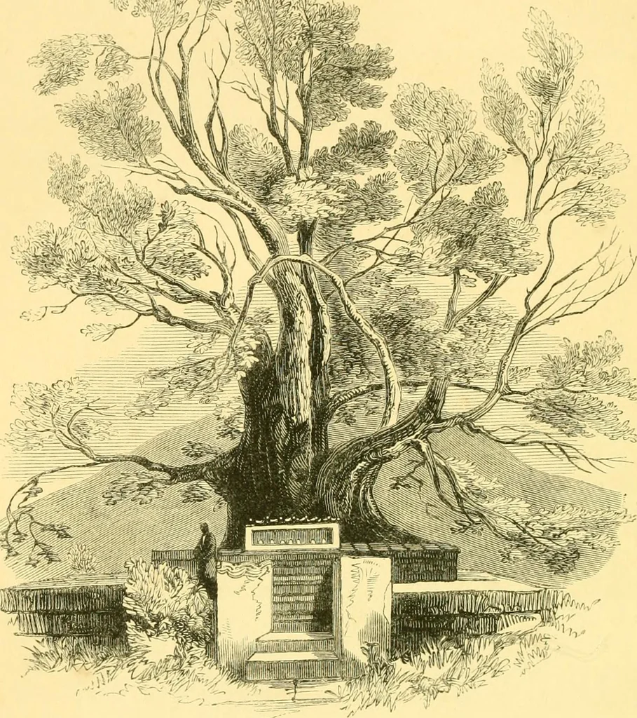 An illustration from Christianity in Ceylon : its introduction and progress under the Portuguese, the Dutch, the British, and American missions; with an historical sketch of the Brahmanical and Buddhist superstitions, 1850, leaf 369