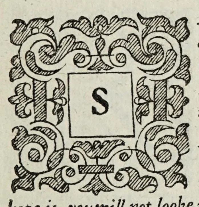 An illustration from The Christian knight, 1619, leaf 103