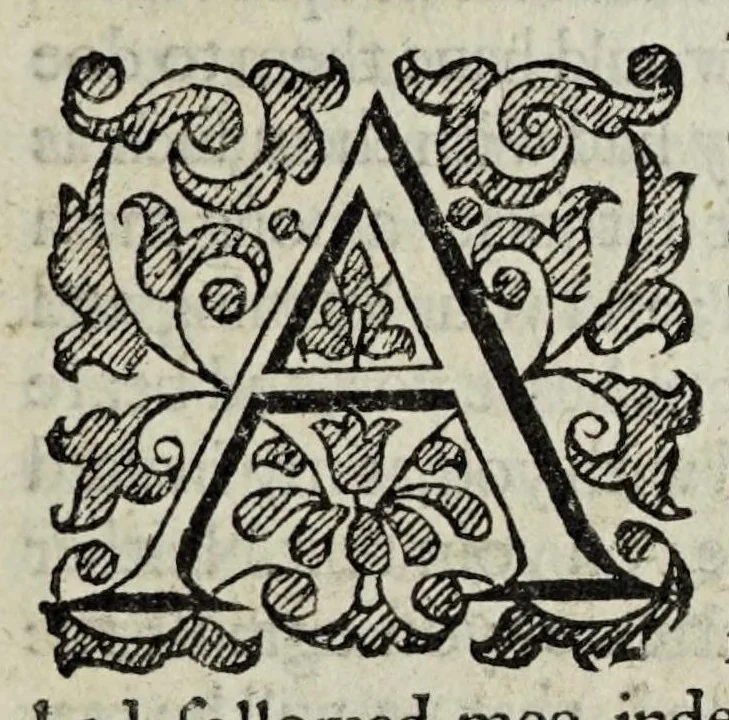 An illustration from The Christian knight, 1619, leaf 13