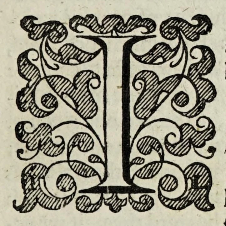 An illustration from The Christian knight, 1619, leaf 61