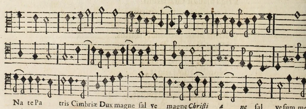 An illustration from Christiano-Albertinae inauguratio, 1665, leaf 384