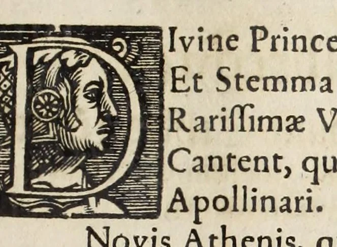 An illustration from Christiano-Albertinae inauguratio, 1665, leaf 509