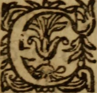 An illustration from Christian see to thy conscience : or a treatise of the nature, kinds and manifold differences of conscience .., 1631, leaf 36