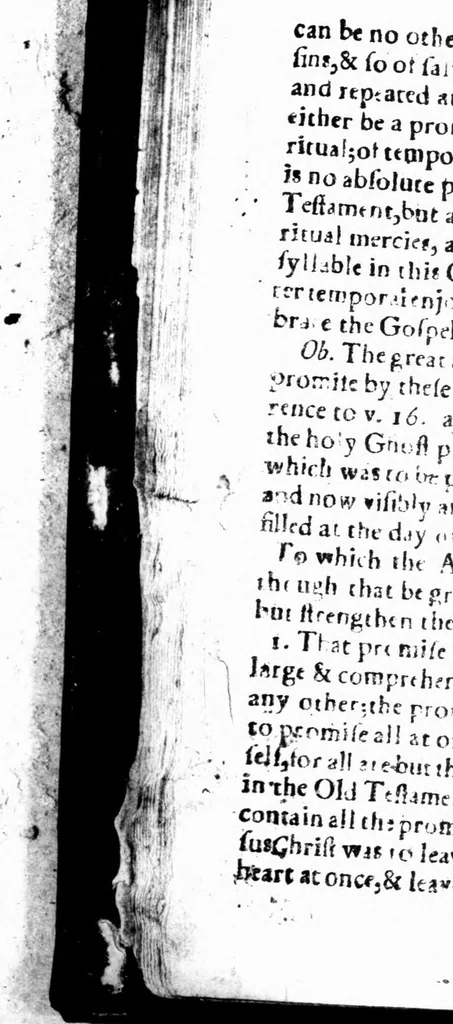 An illustration from A Christian, sober and plain exercitation on the two grand practical controversies of these times; infant baptism, and singing of Psalms. Wherein all the Scriptures on both sides are recited, opened and argued, with brevity and tendernesse .., 1657, leaf 25